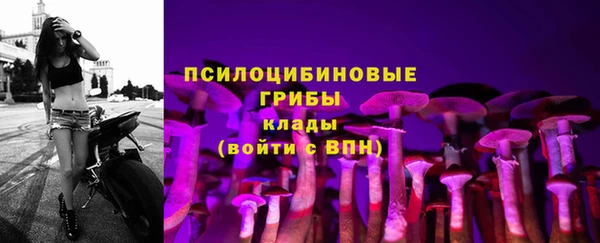 МДПВ Яранск