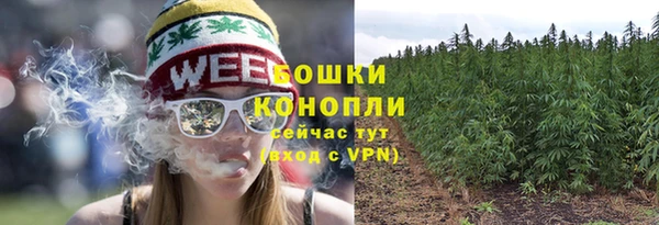 трава Кинешма