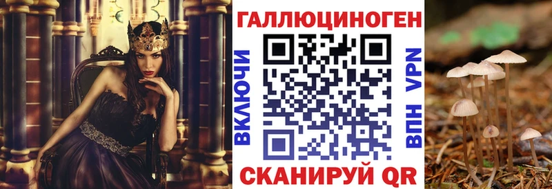 Купить где  Змеиногорск  Галлюциногенные грибы Psilocybine cubensis 